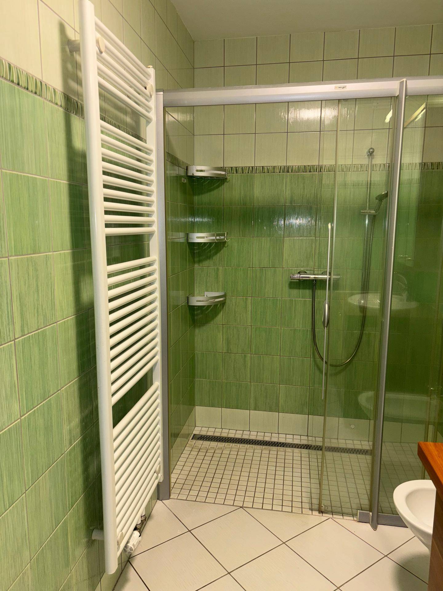 Badezimmer mit Duschkabine, grün gefliesten Wänden und beheiztem Handtuchhalter.