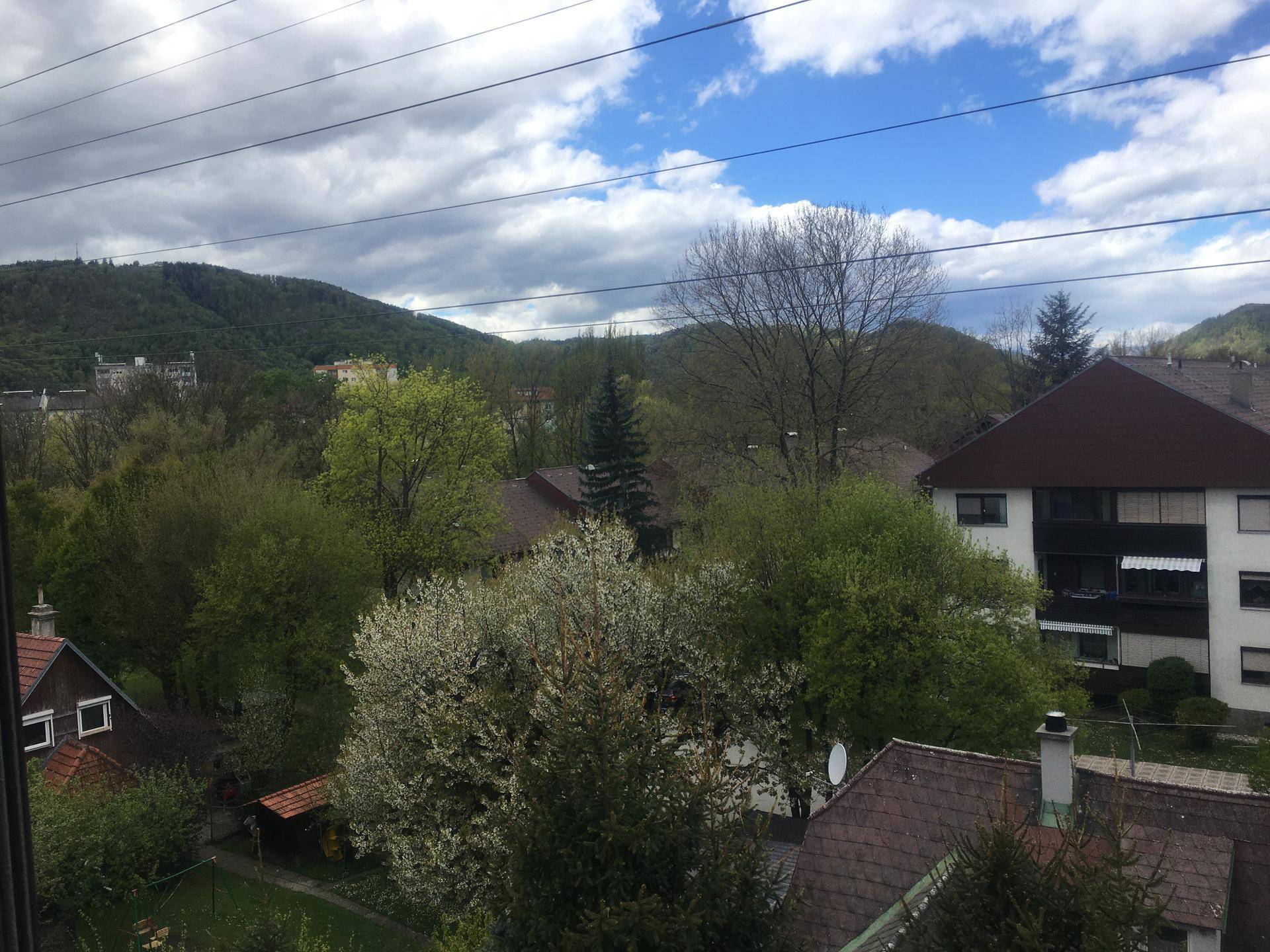 Weitläufiger Blick auf grüne Hügel, Bäume und umliegende Häuser.