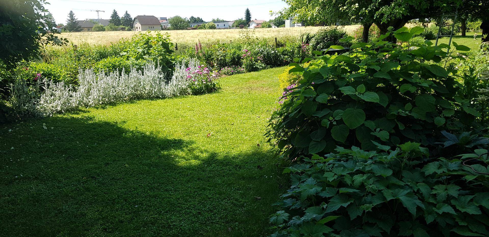 Blühender Garten mit Rasenweg, vielfältigen Pflanzen und einem weiten Blick auf die umliegende Landschaft.