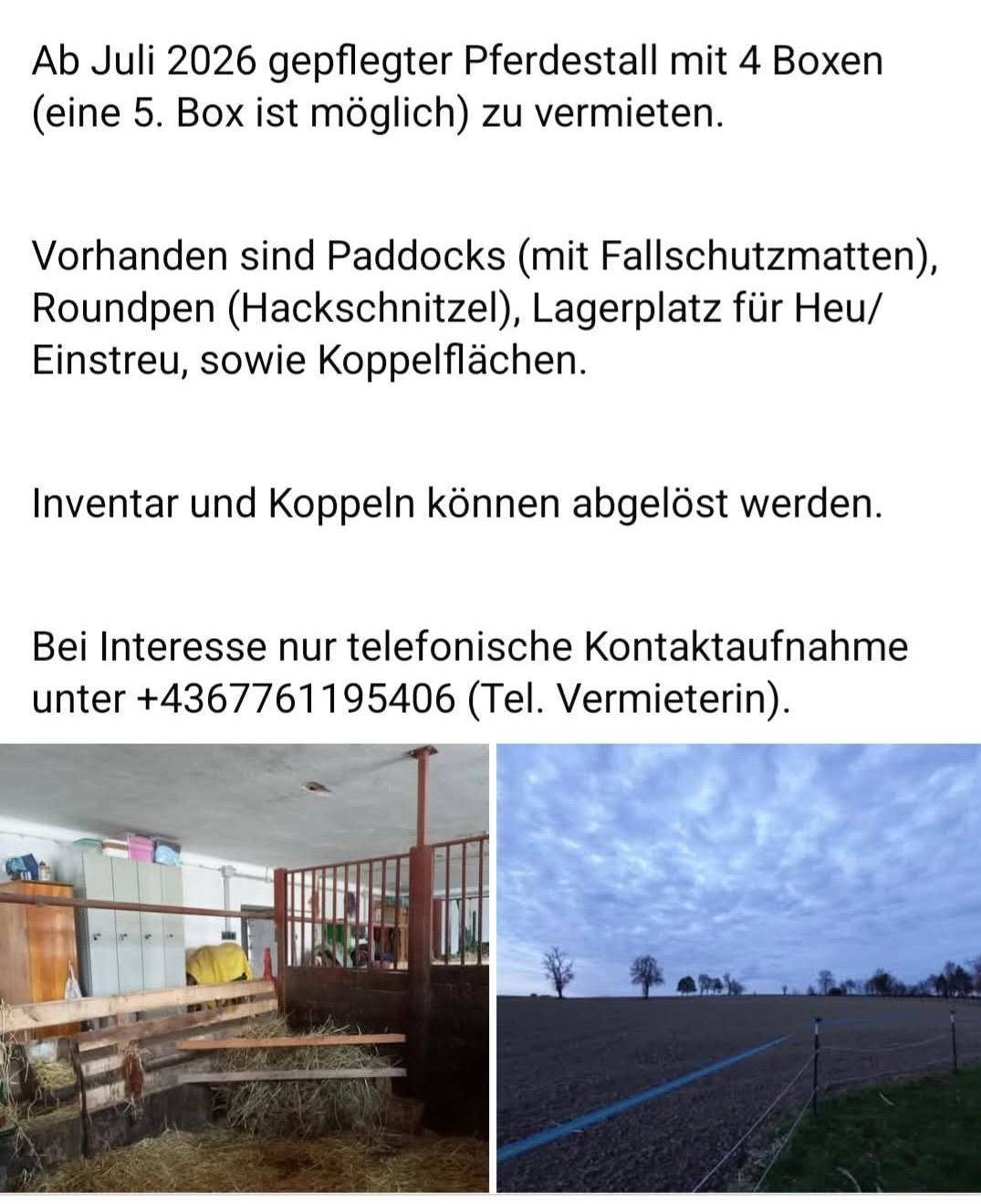 Slide 11