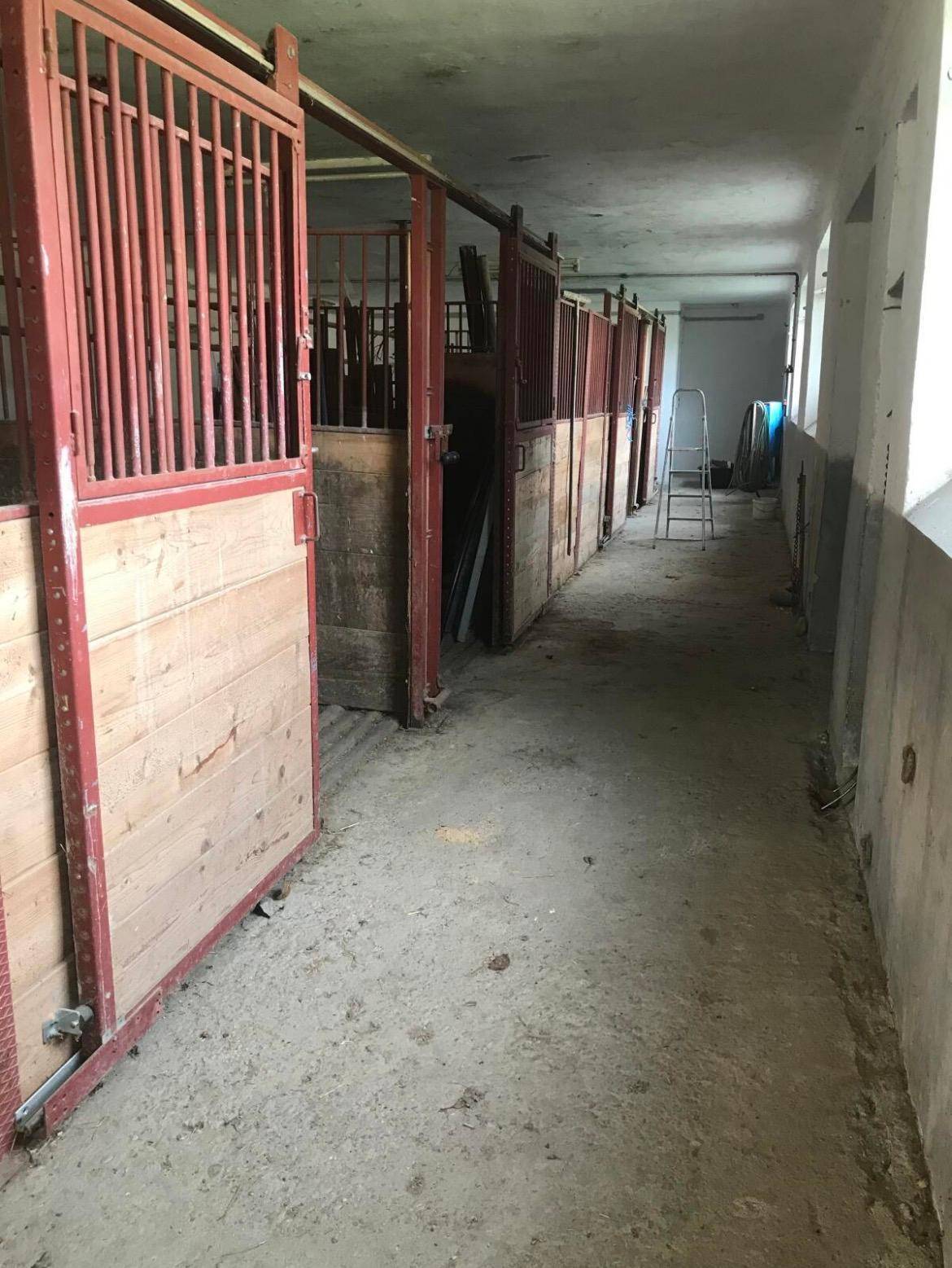Langer Gang in einem Pferdestall mit leeren Boxen und roten Gittertüren.