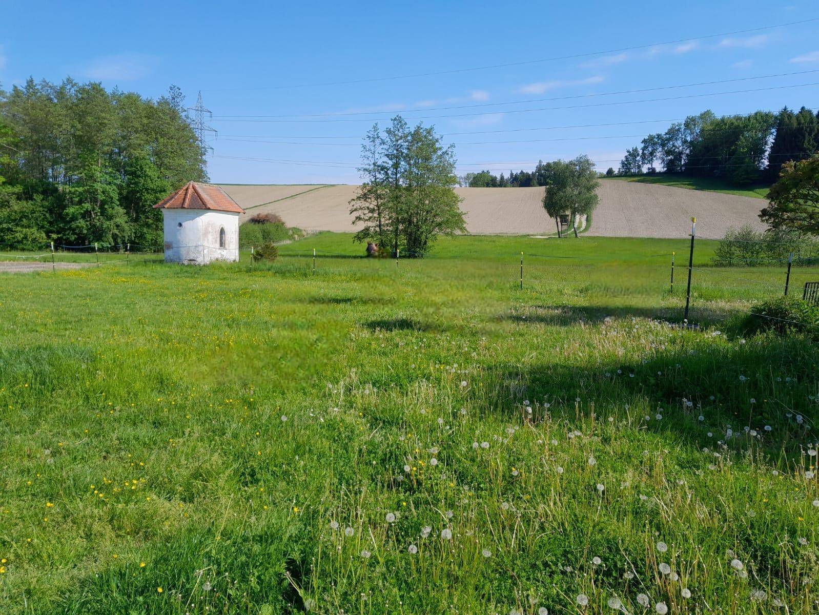 Weitläufige grüne Wiese mit einem kleinen weißen Gebäude und Bäumen im Hintergrund.