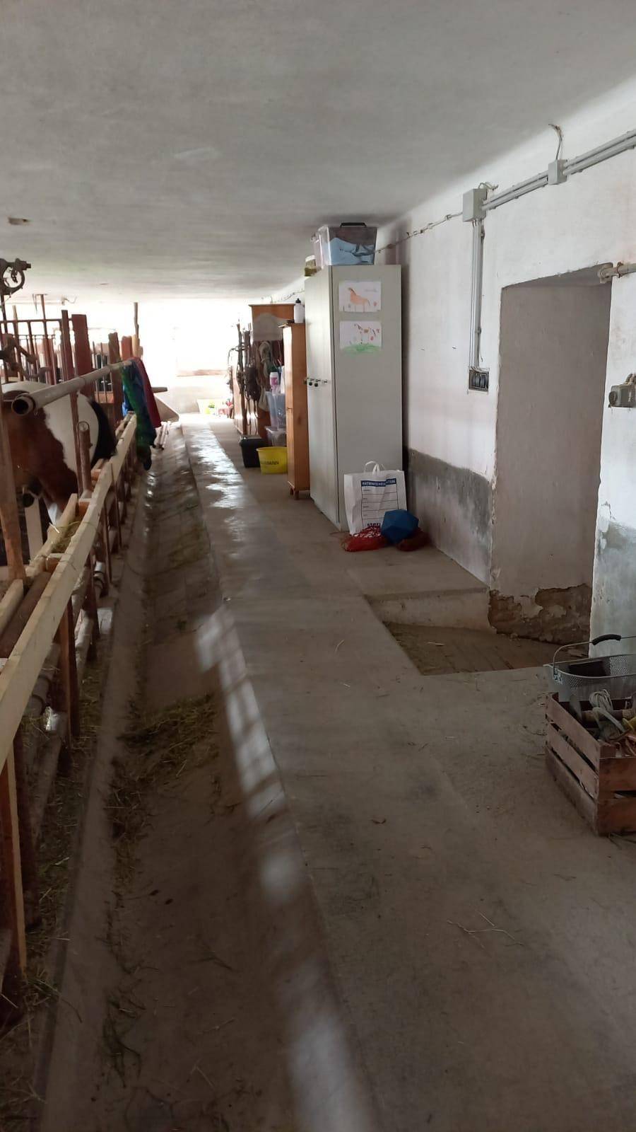 Langer Gang in einem Stall mit Futterkrippen und Tieren auf der linken Seite.