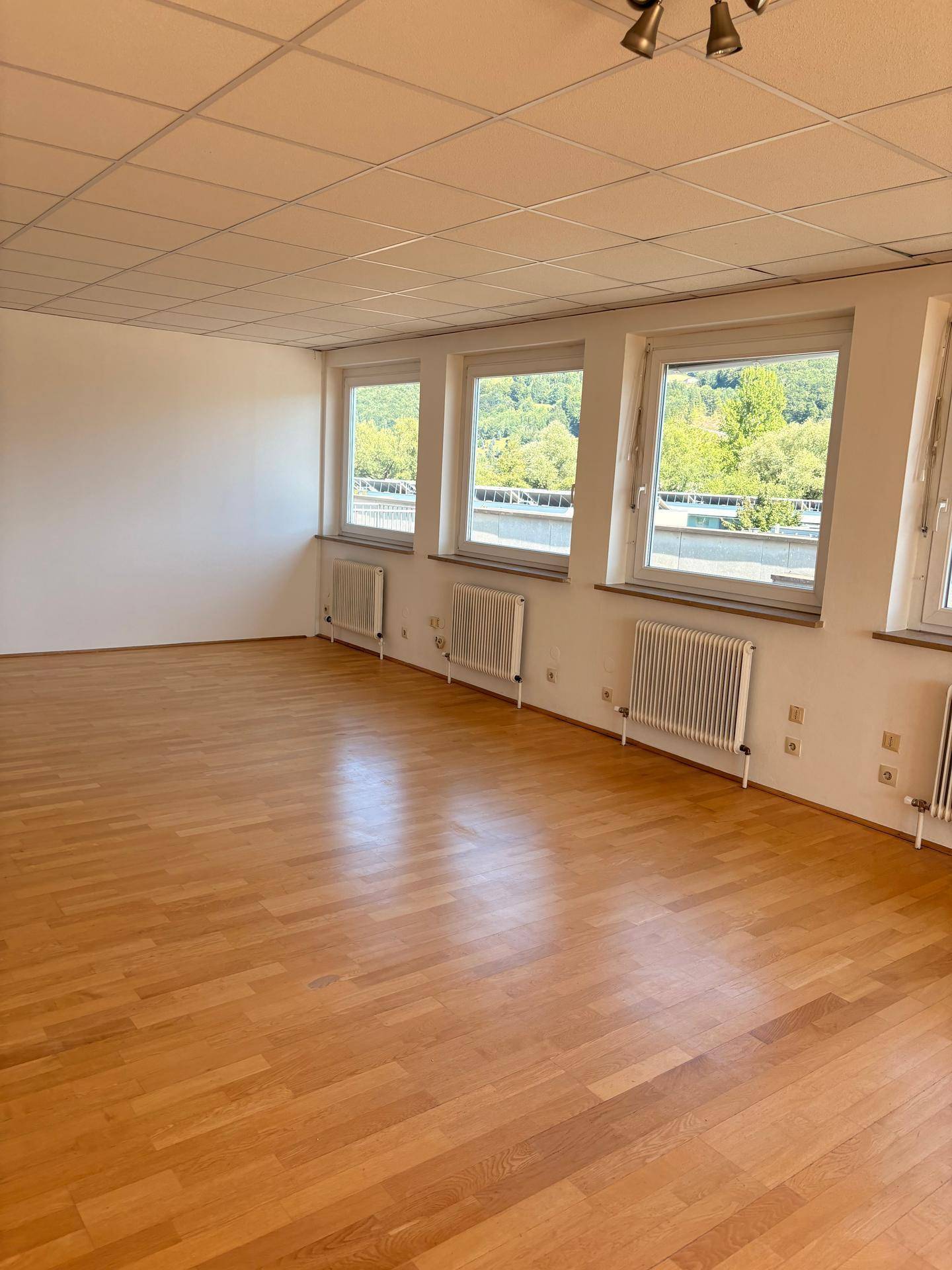 Geräumiger, heller Raum mit Holzboden, weißen Wänden und einer Reihe von Fenstern mit Ausblick.