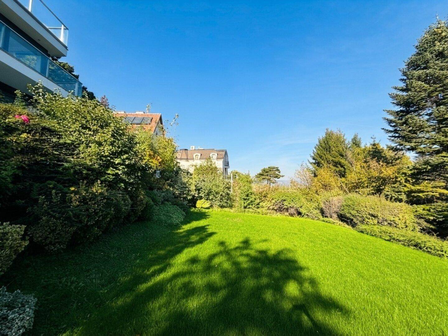 Sonniger Gartenbereich mit gepflegtem Rasen und hohen Bäumen, die Schatten spenden.