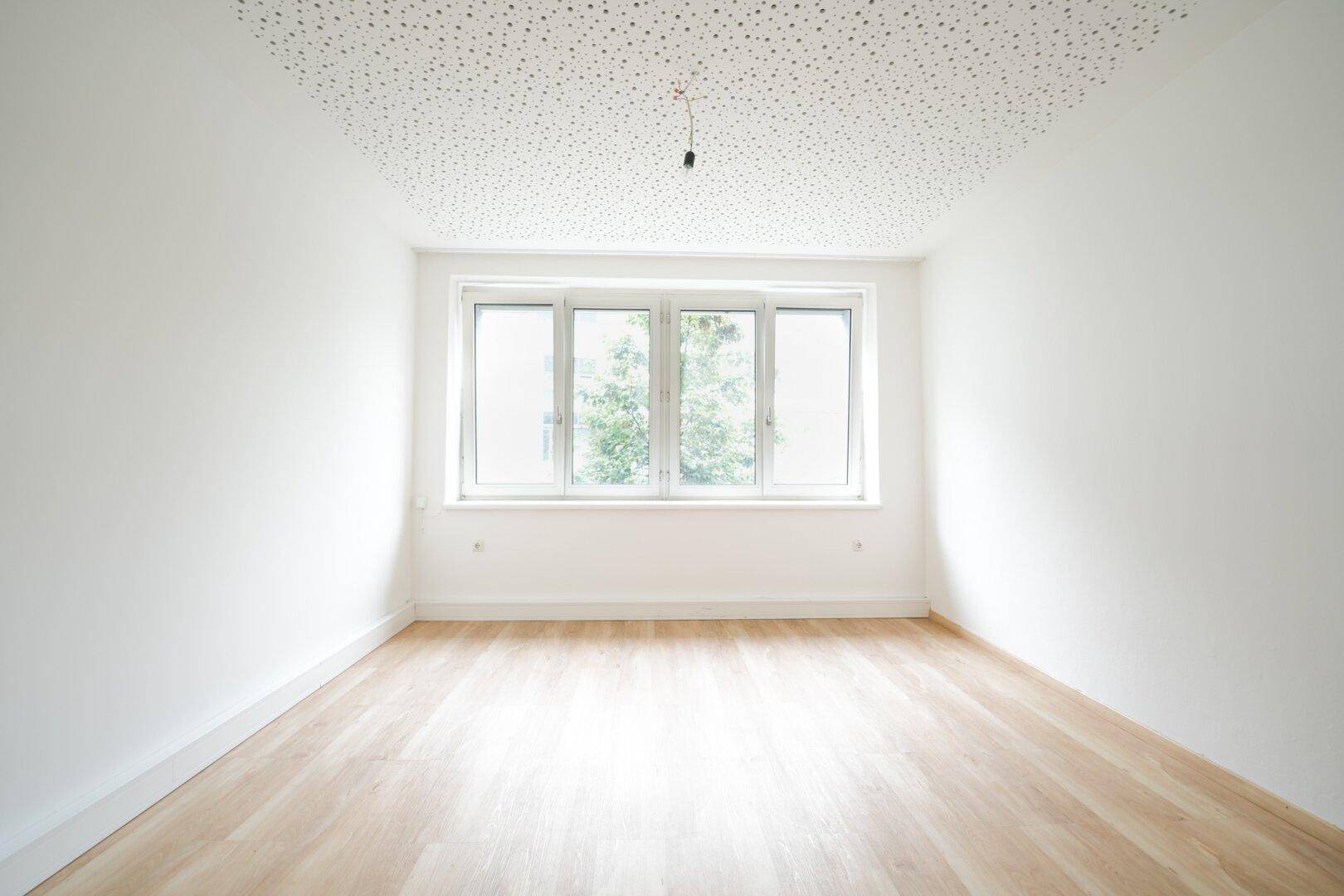 Heller, leerer Raum mit großen Fenstern, die eine grüne Aussicht bieten, und einem gepflegten Laminatboden.
