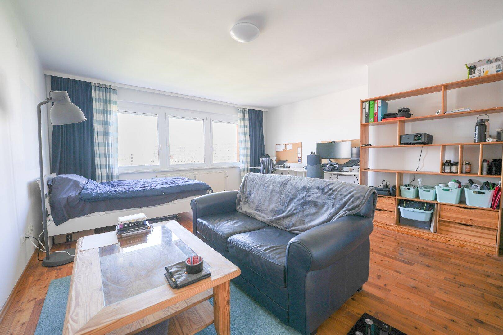 Kombinierter Schlaf- und Wohnbereich mit Sofa, Bett, Schreibtisch und einem Bücherregal aus Holz.