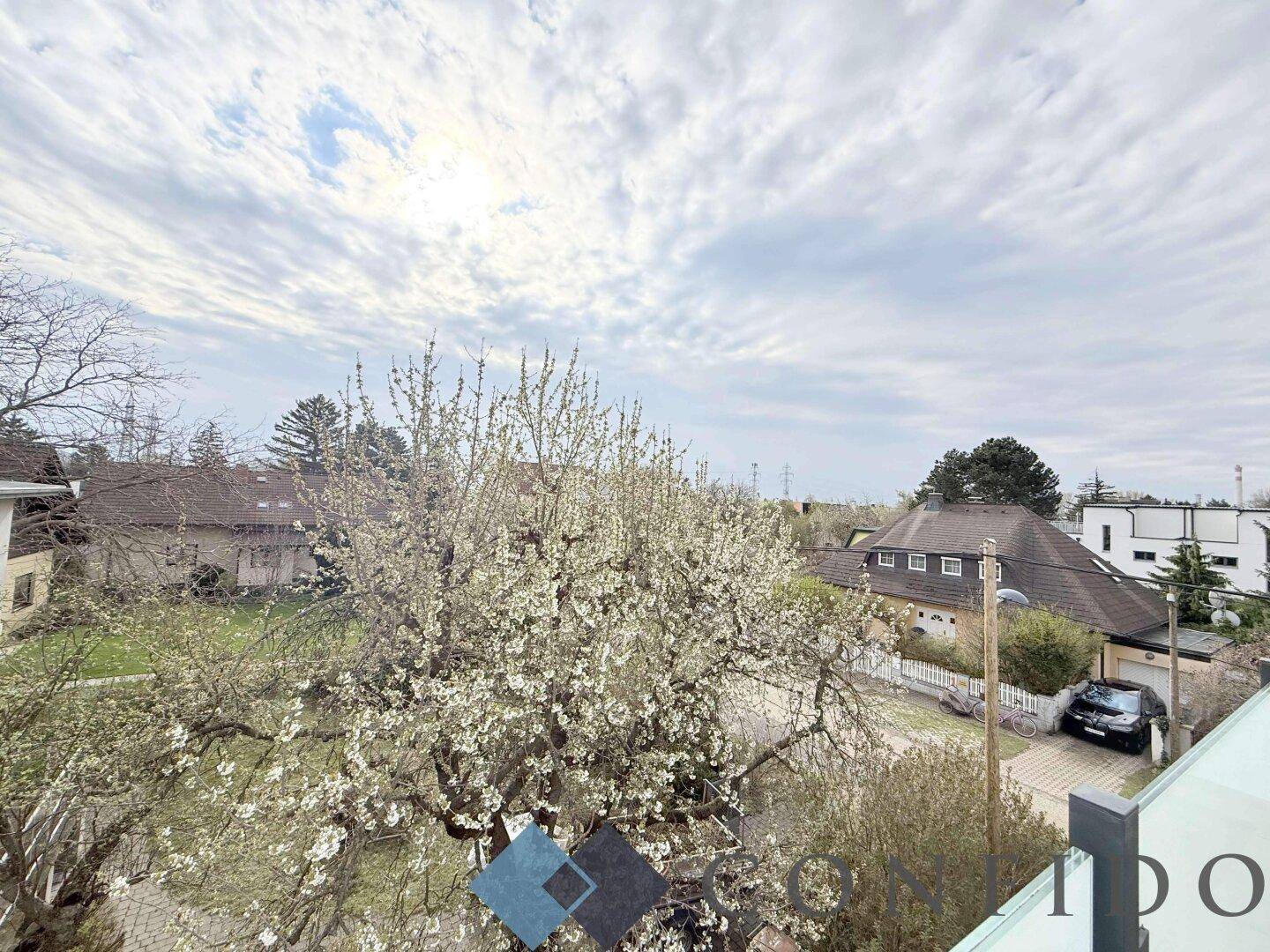 Weitblick über blühende Bäume und die umliegende Wohngegend unter bewölktem Himmel.