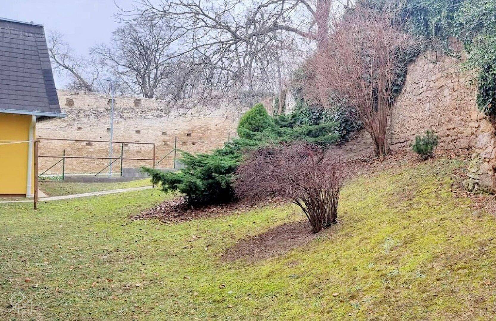 Garten hinter Wohngebäude