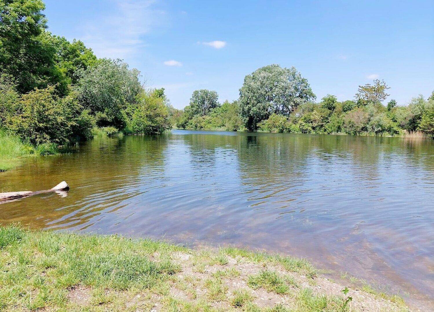 Nahegelegener Stadler Furt Teich in den Nationalpark Donauauen
