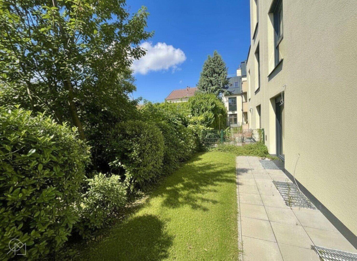 Seitlicher Gartenbereich mit Rasen, gepflastertem Weg und grüner Hecke.
