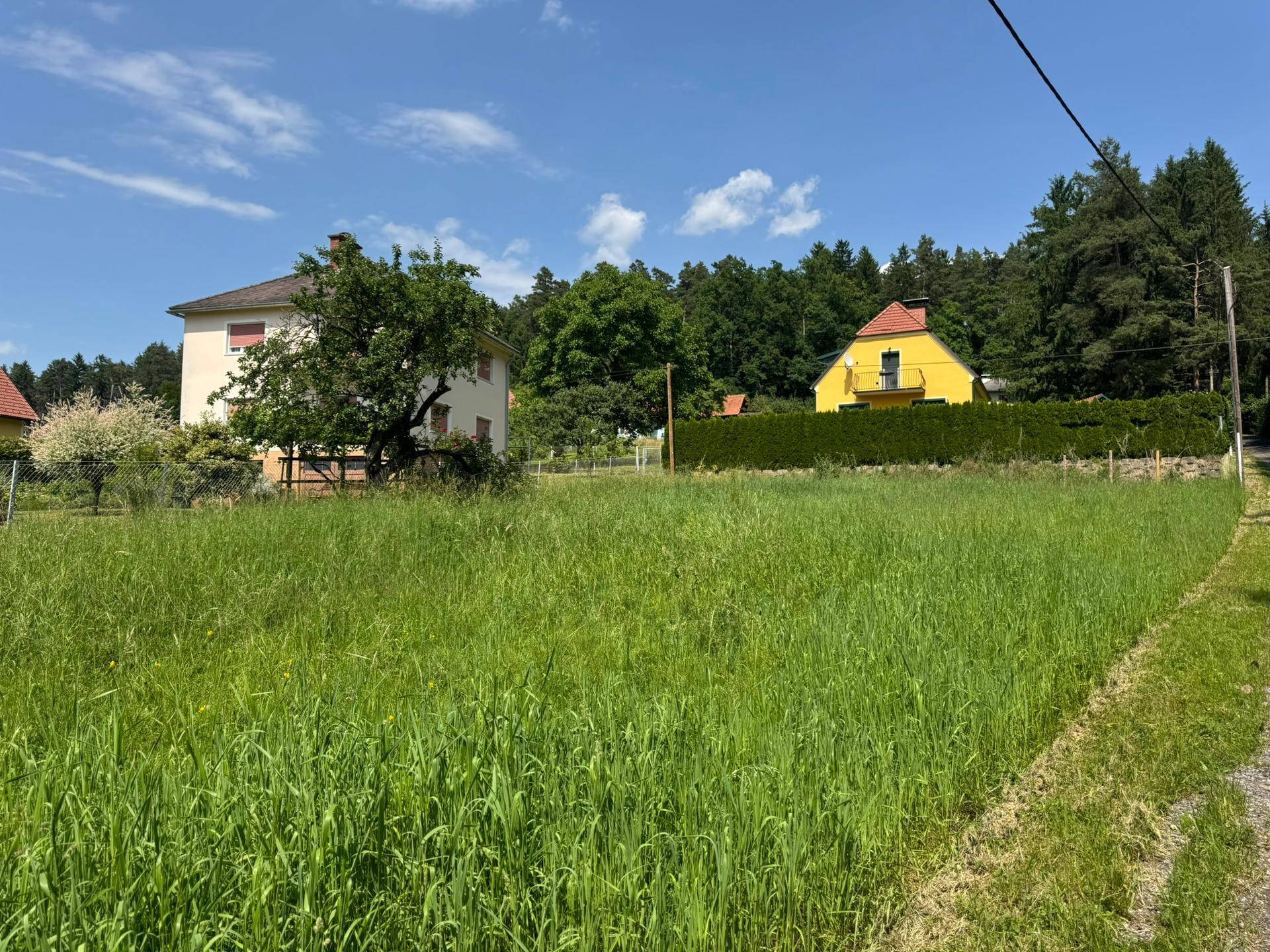 Grünes Feld mit zwei Wohnhäusern, umgeben von Bäumen und einer Hecke unter klarem Himmel.
