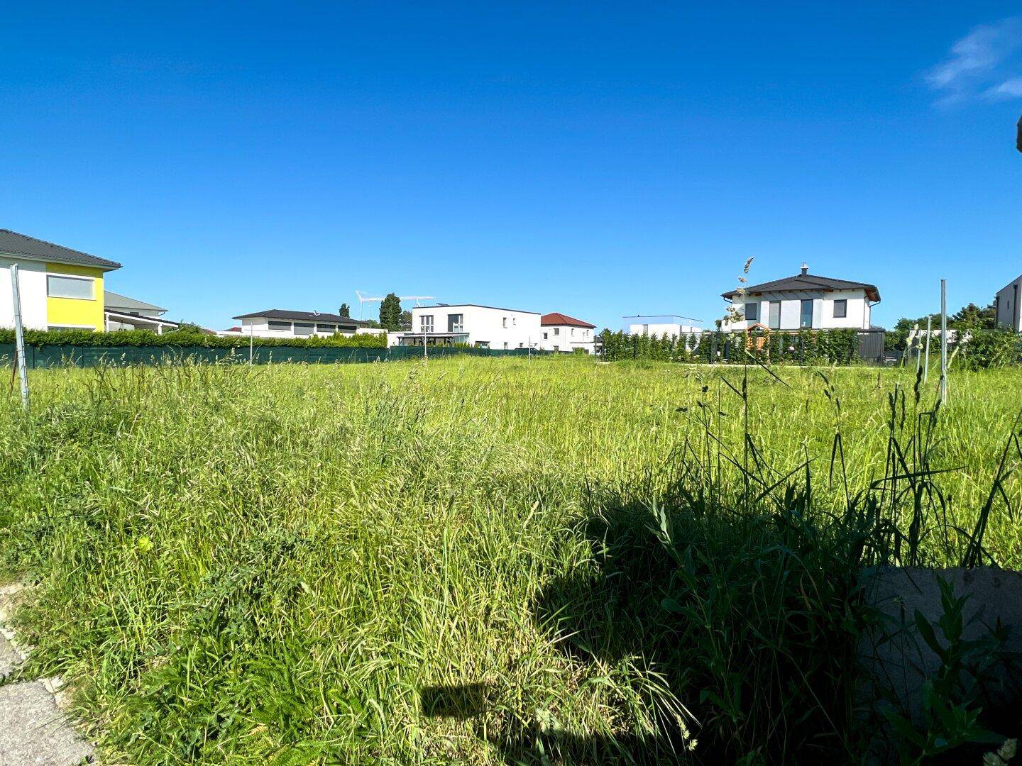 Weitläufiges, grünes Grundstück mit Blick auf moderne Wohnhäuser in der Umgebung.