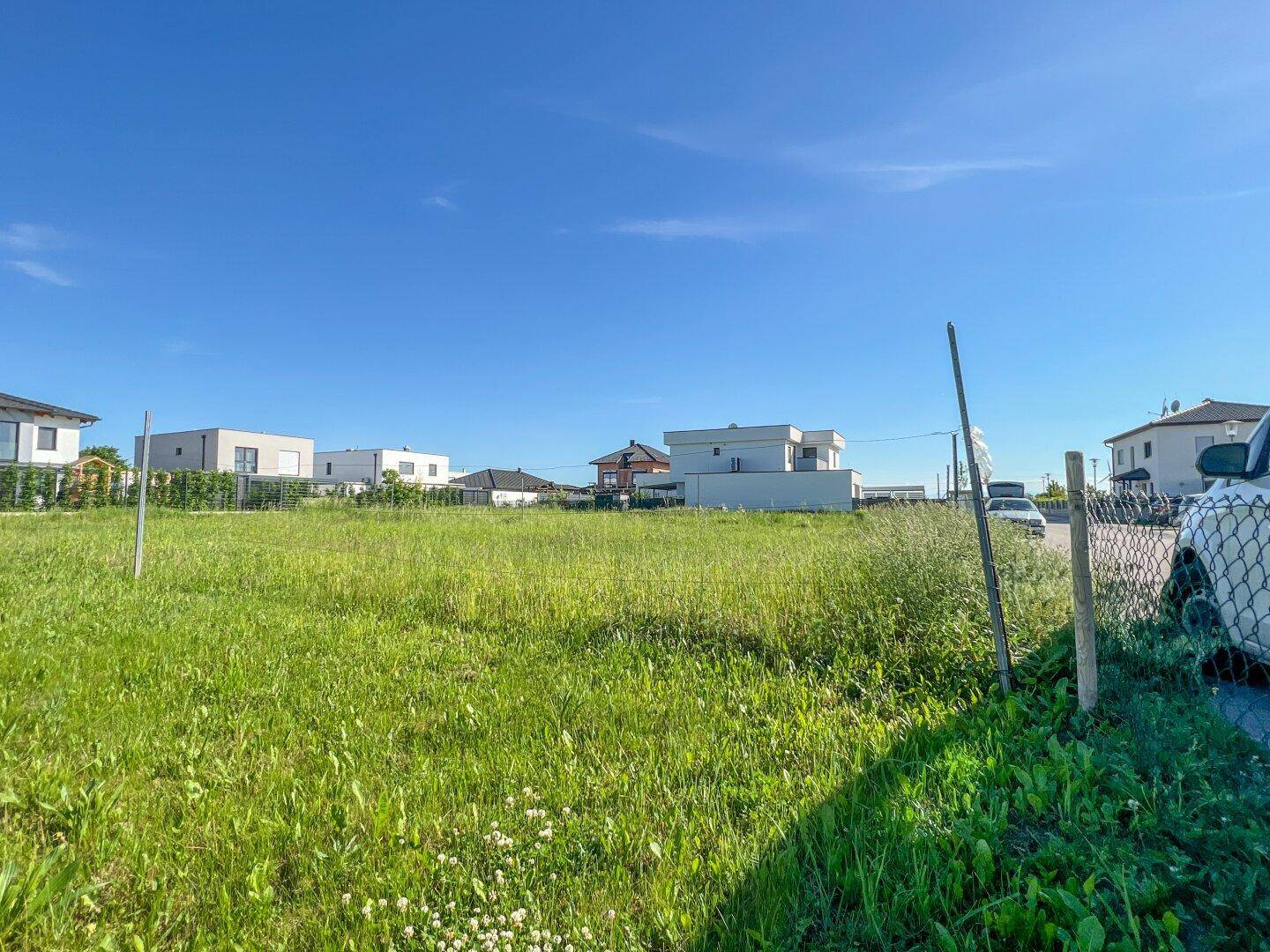 Unbebautes Grundstück mit frischem Grün und modernen Häusern im Hintergrund.
