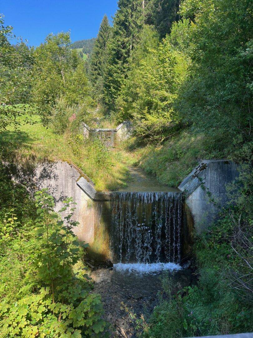 Kleiner Wasserfall in einer bewaldeten Umgebung mit natürlichen Elementen.