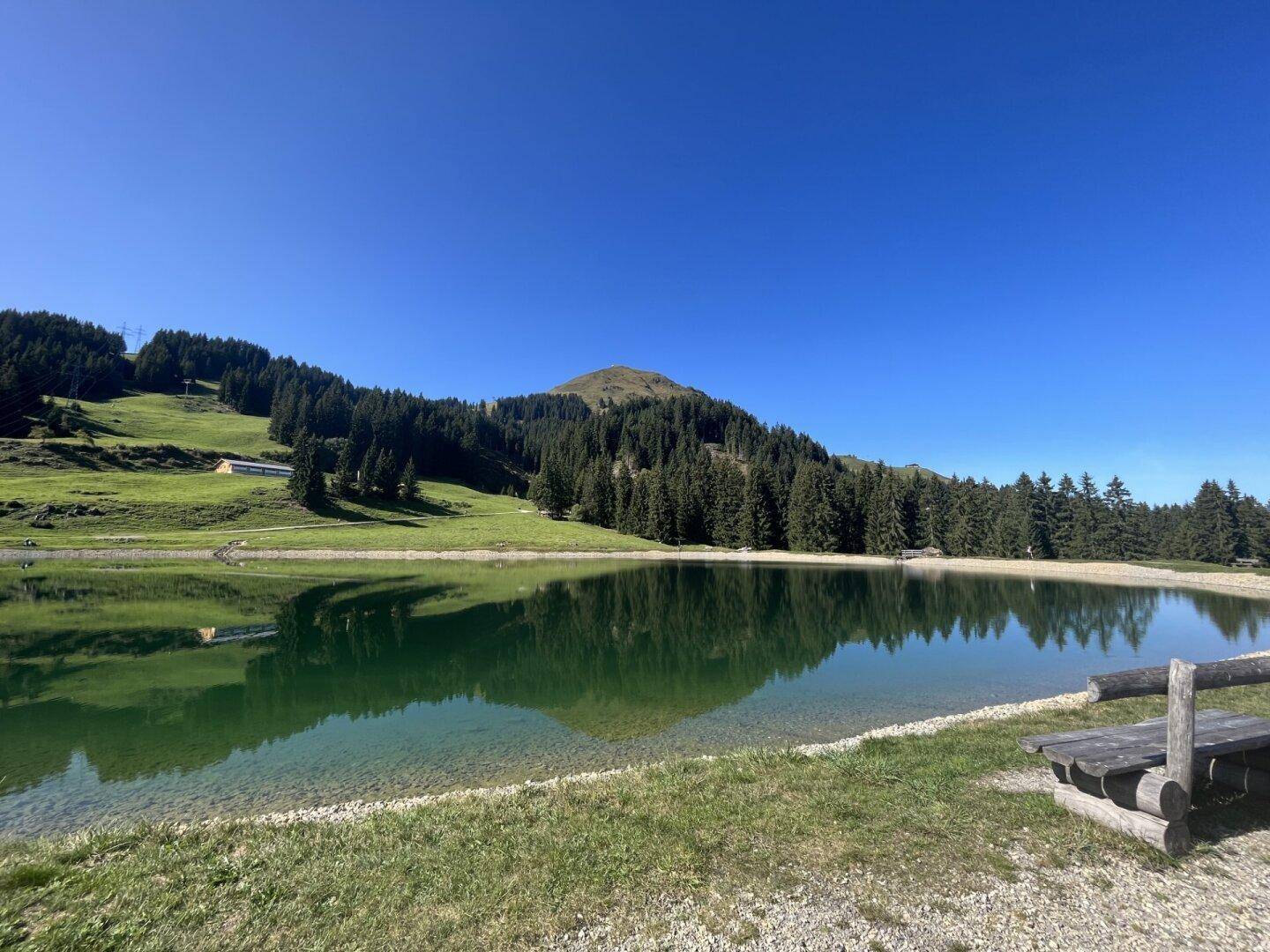 Klarer Bergsee, der die umliegenden Wälder und Berge unter blauem Himmel widerspiegelt.