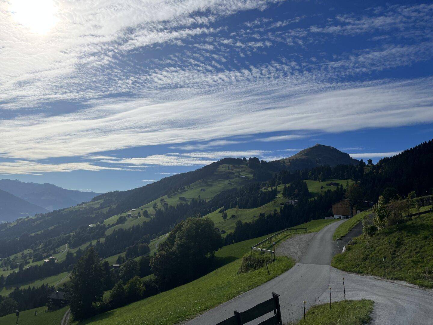 Malerische Straße schlängelt sich durch grüne Hügel und Wälder mit Bergblick.