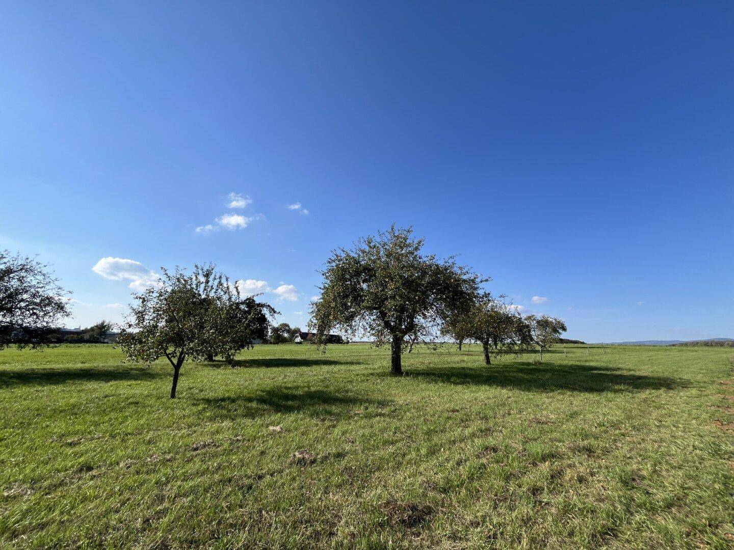 Nachbargrundstück Welgersdorf