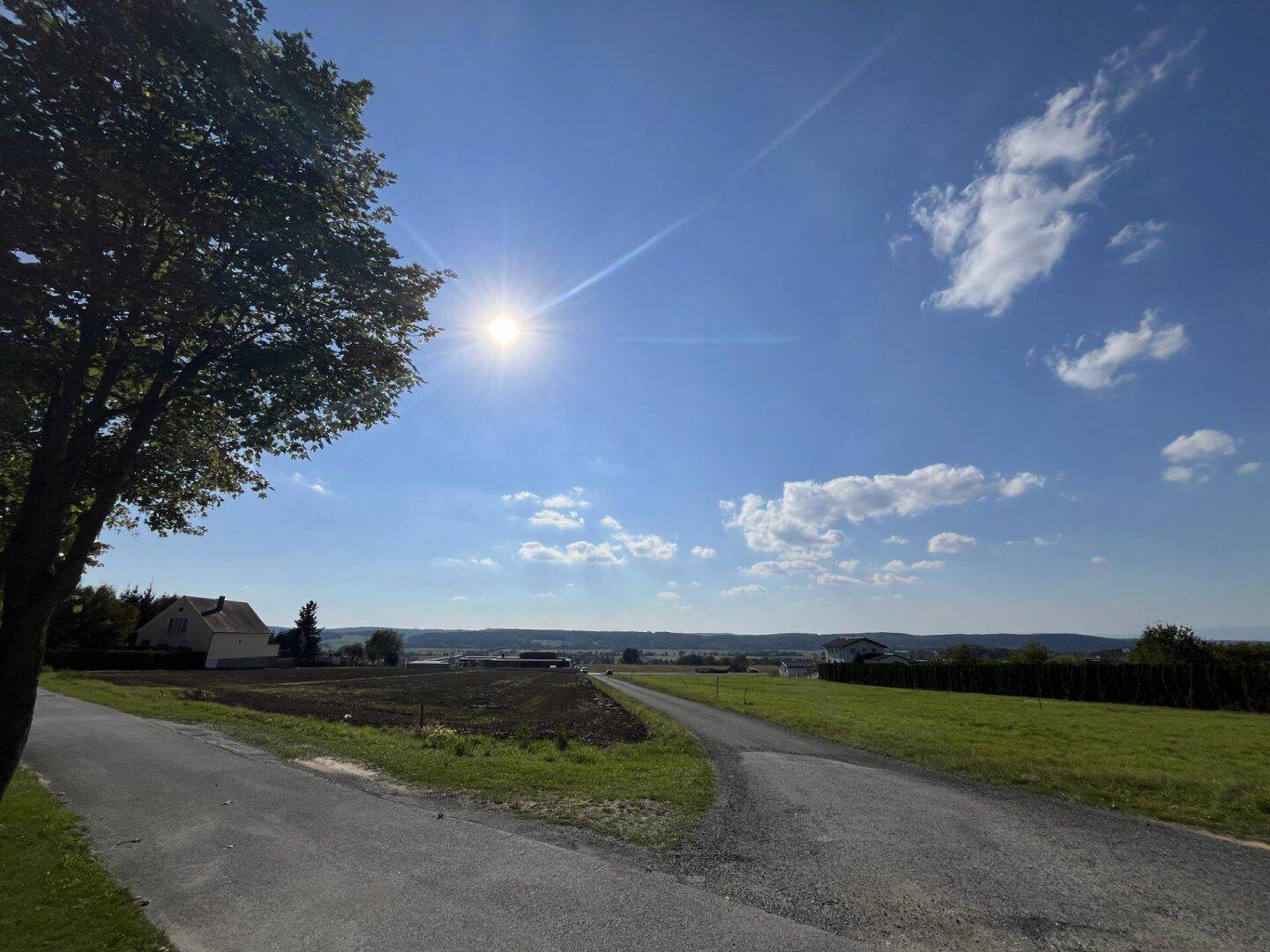 Weitläufige Landschaft mit Feldwegen, grünen Wiesen und einem weiten Blick in die Ferne an einem sonnigen Tag.