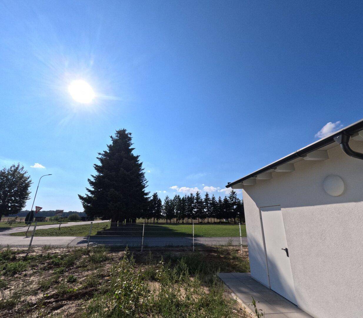 Sonnige Landschaft mit einem großen Baum, einem Gebäudeteil und einem weiten Blick in die Ferne.