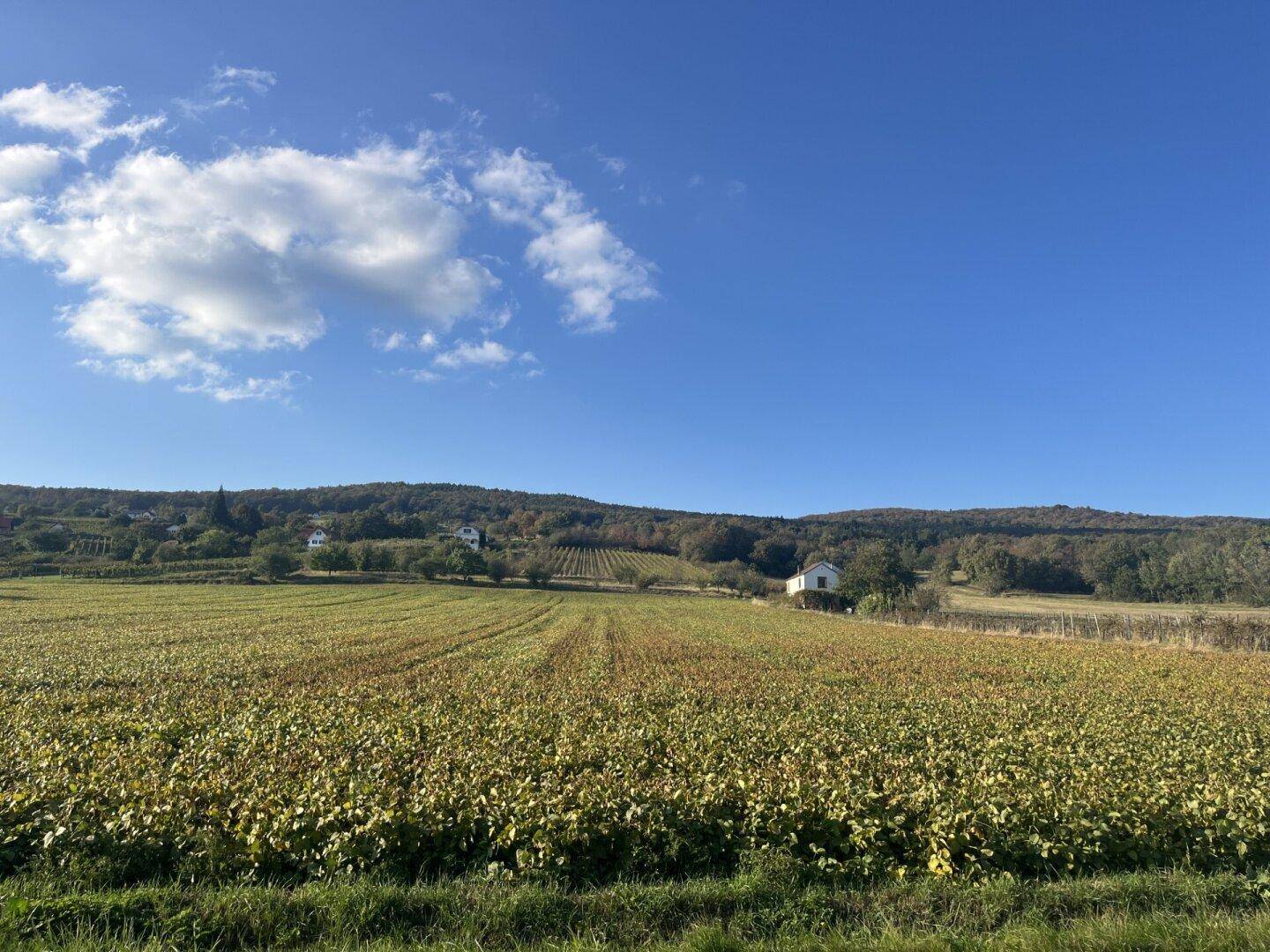 Rechnitz Landschaft