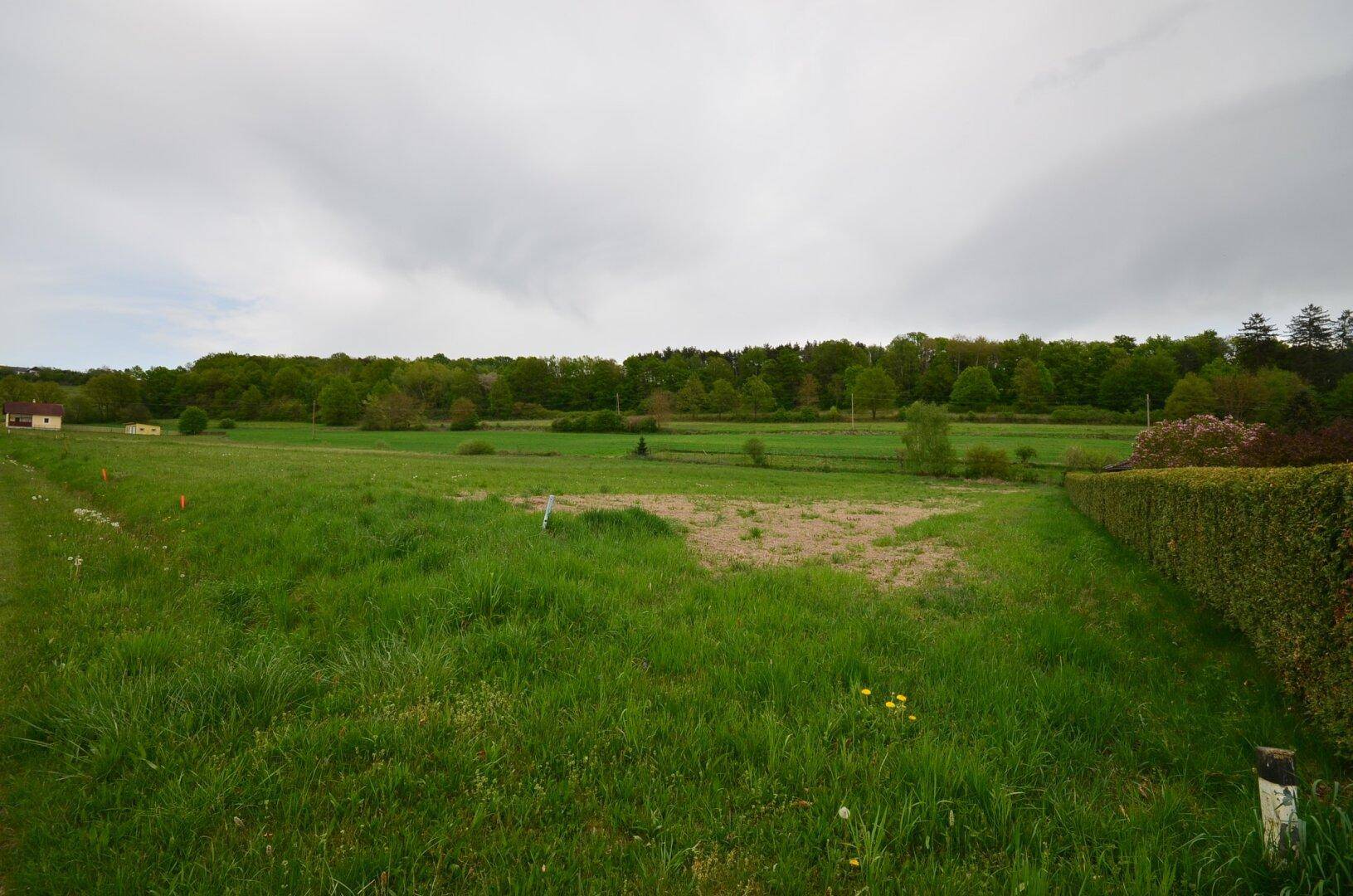 Weitläufiges grünes Feld mit einem Haus am Rand und einer Hecke im Vordergrund unter bewölktem Himmel.