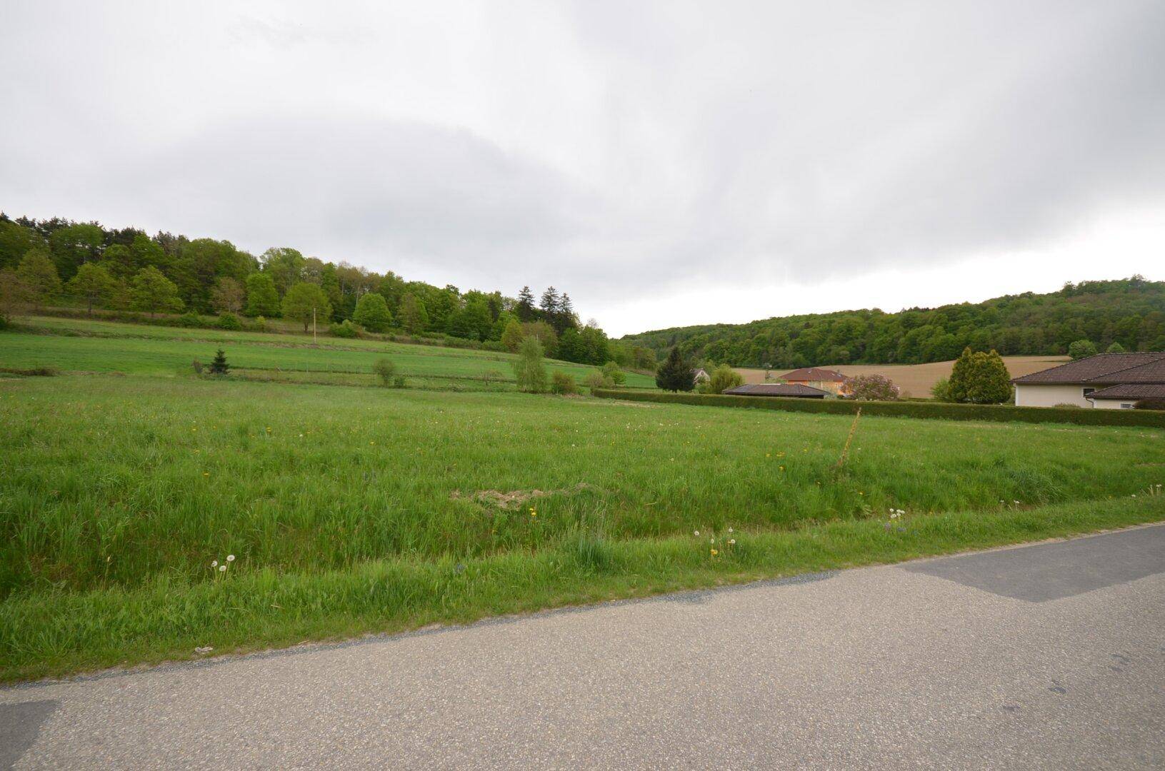 Ausgedehntes grünes Feld mit einer Straße im Vordergrund und Häusern sowie Hecken am Horizont.