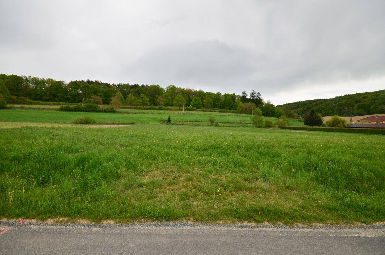Weitläufiges grünes Feld mit einer Straße im Vordergrund und bewaldeten Hügeln im Hintergrund.