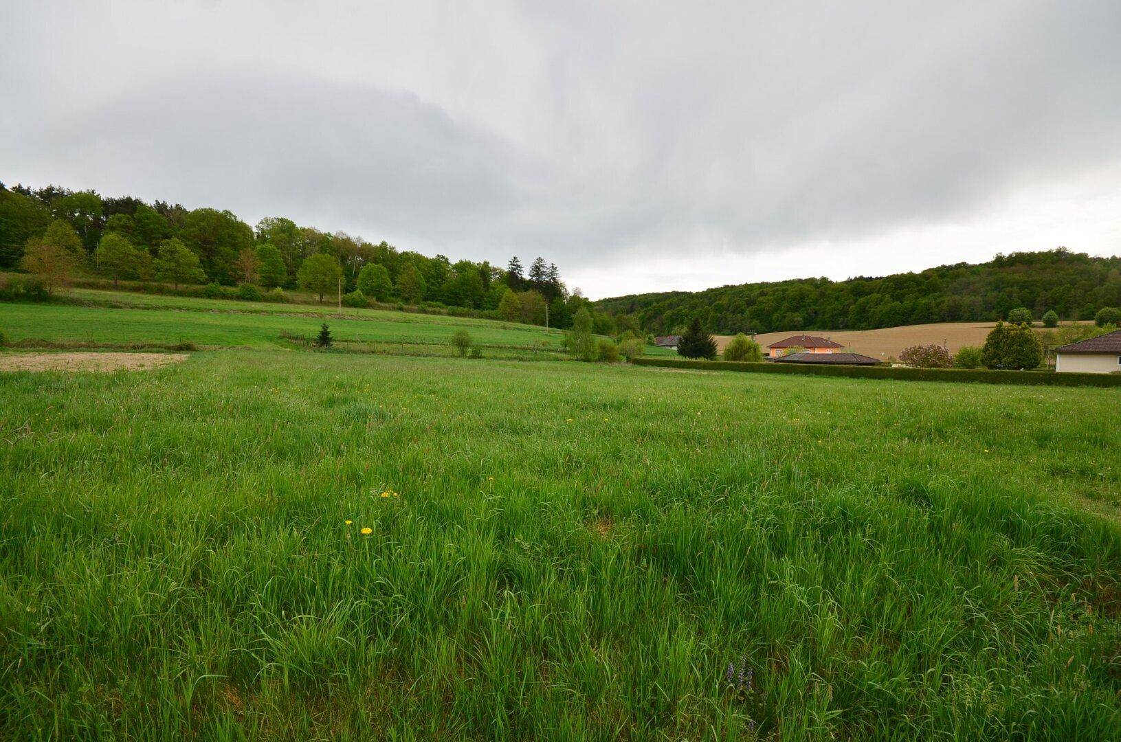 Großes grünes Feld mit vereinzelten Häusern in der Ferne und bewaldeter Landschaft unter bewölktem Himmel.