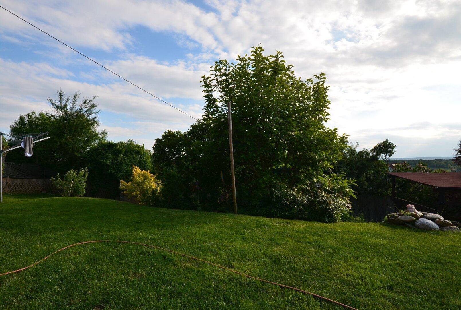 Großer, gepflegter Garten mit Rasenfläche und üppiger Vegetation unter blauem Himmel.