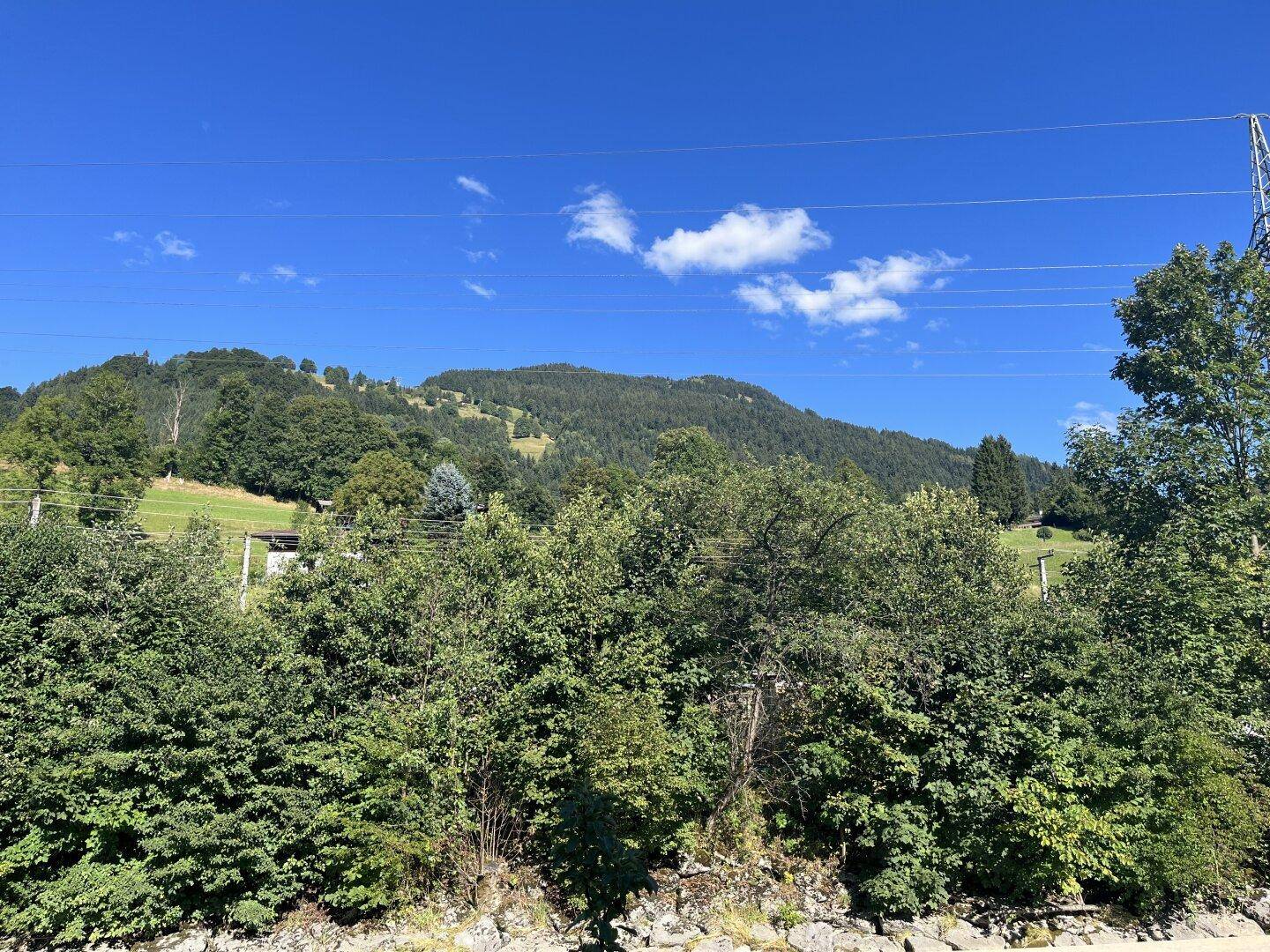 Blick auf einen üppig grünen Hügel mit Bäumen und Büschen unter einem klarem blauen Himmel.