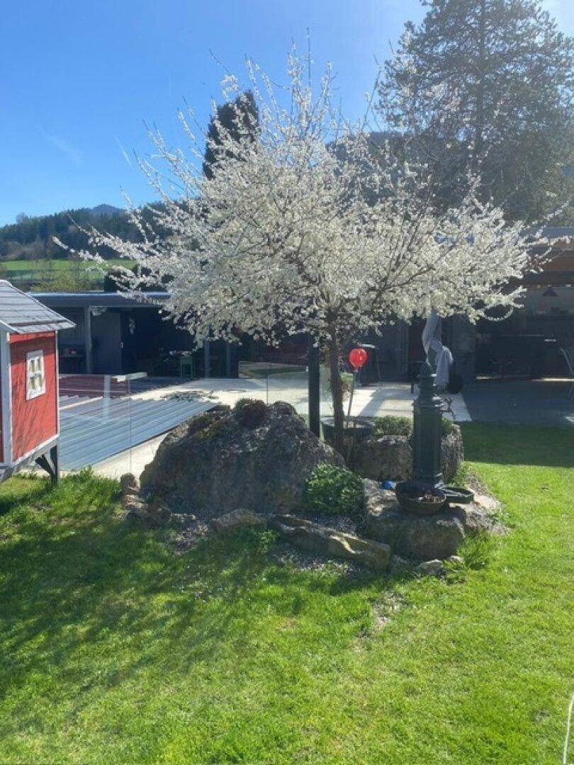 Traumhaus im Mürztal: Wohnen und Arbeiten, 1 Stunde von Wien - Ansicht 4