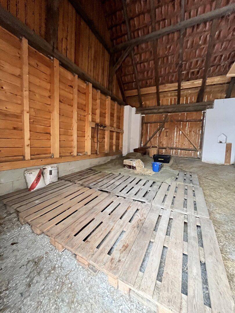 Geräumiger Innenraum einer Scheune mit Holzwänden, Dachbalken und Paletten auf dem Boden.