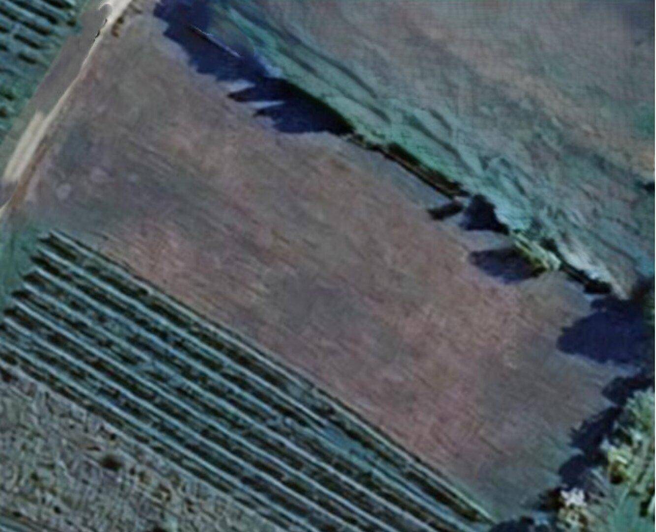 Eine Luftaufnahme zeigt landwirtschaftliche Felder und Baumreihen, die eine weite Landschaft bilden.