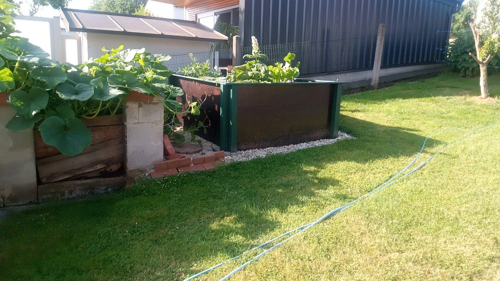 Grüner Gartenbereich mit Hochbeeten für Pflanzen und gepflegtem Rasen an einem sonnigen Tag.