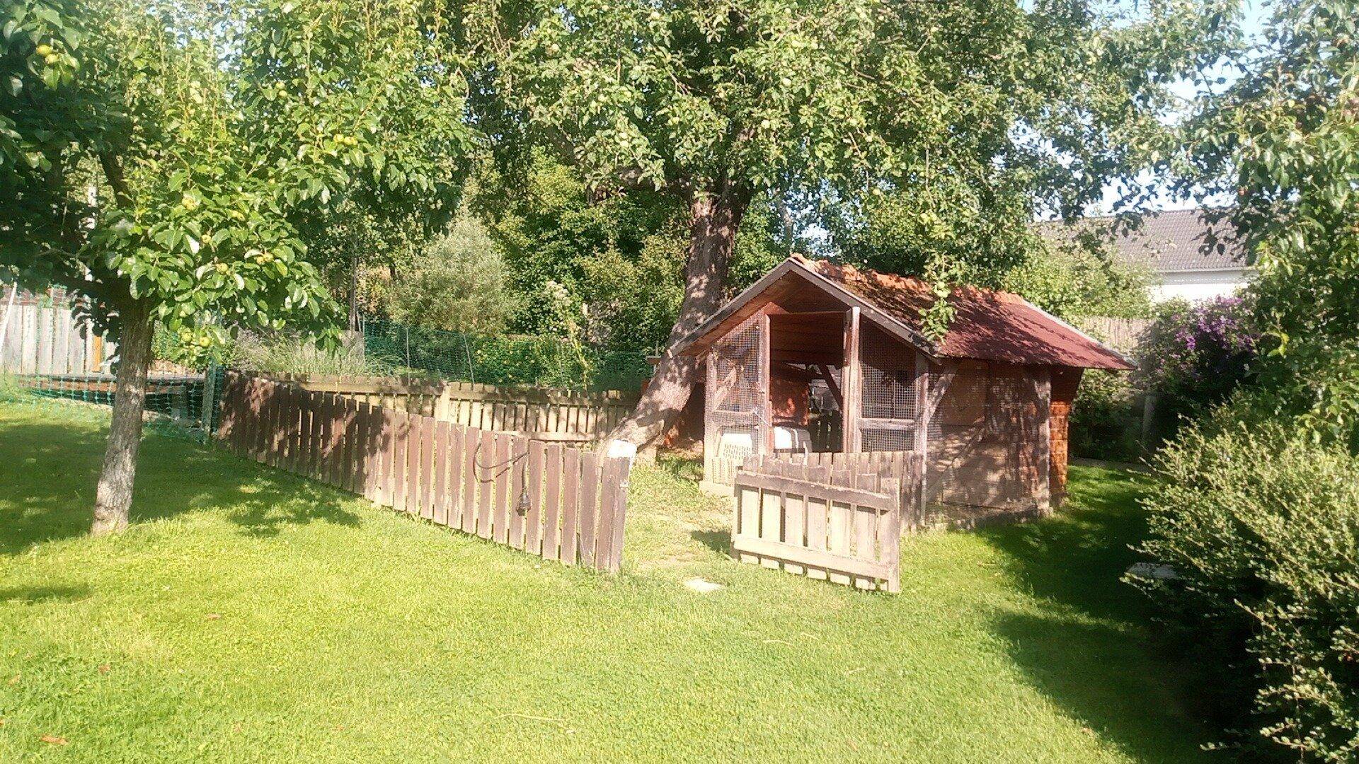 Idyllischer Garten mit einem kleinen Holzschuppen, umgeben von Bäumen und Rasen.