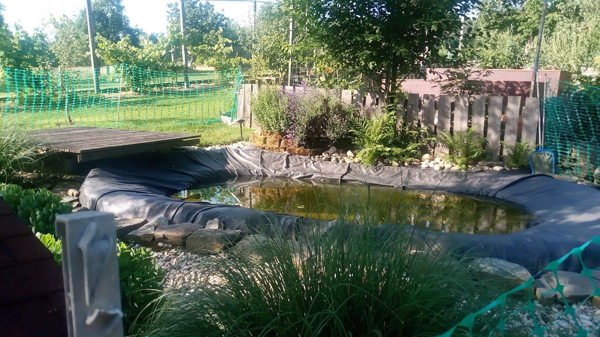 Natürlicher Gartenteich mit Holzsteg, umgeben von Pflanzen und Steinen.