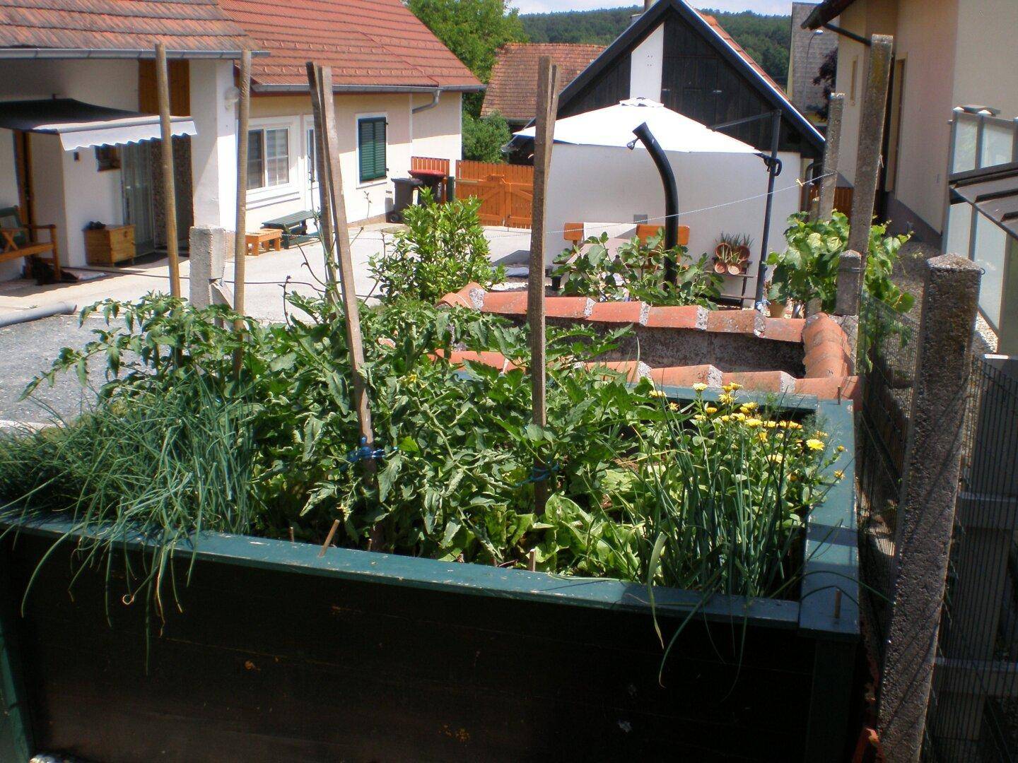 Hochbeet mit verschiedenen Gemüsepflanzen und Kräutern in einem sonnigen Garten.