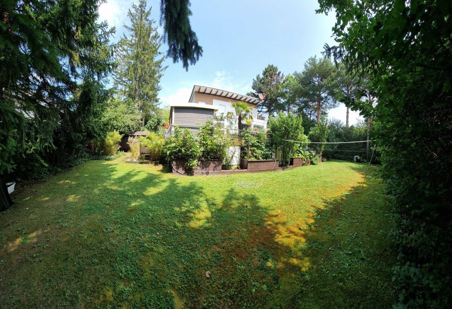 Großer, gepflegter Rasenbereich mit Bäumen und Blick auf das Haus.