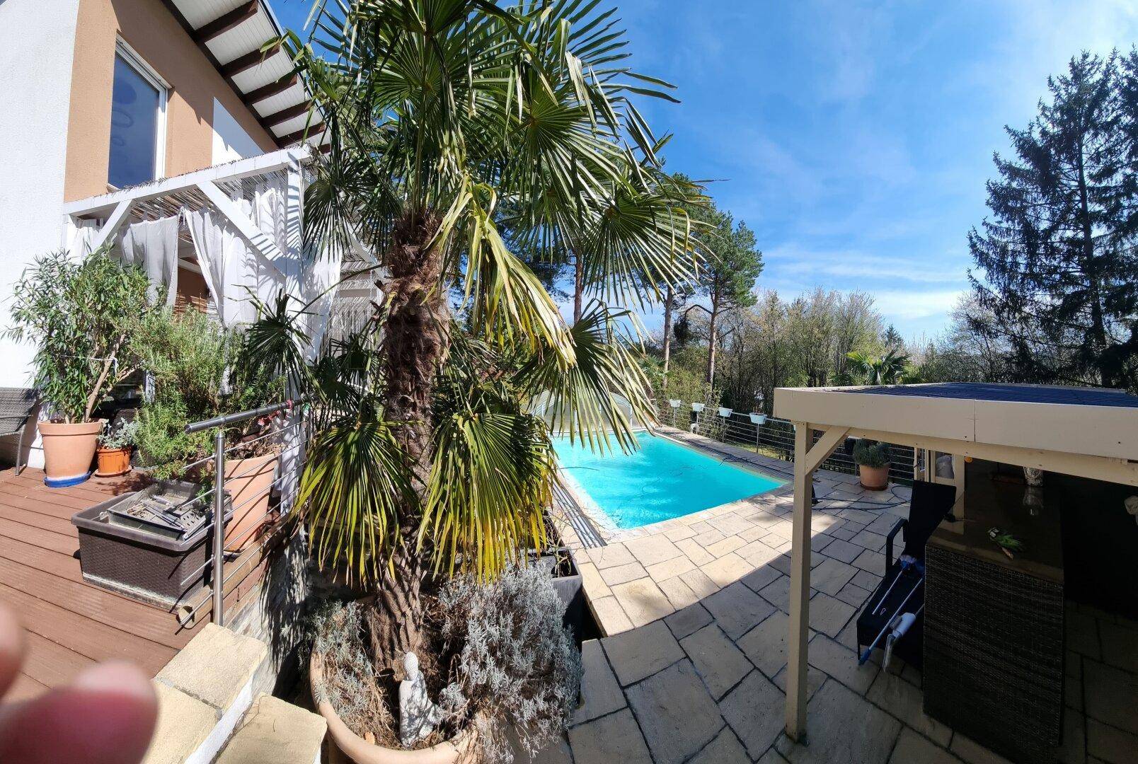 Weitläufiger Gartenbereich mit Pool, Palmen und gepflasterter Terrasse.