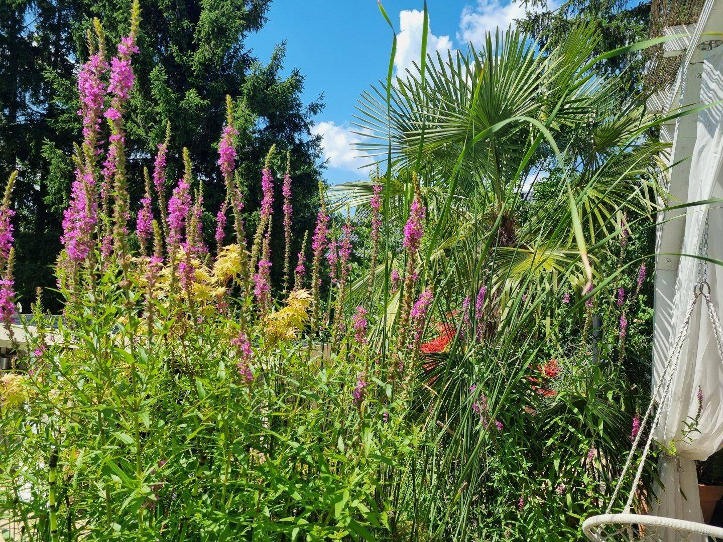 Bunte Blumen und üppige Pflanzen im Garten mit Palmen im Hintergrund.