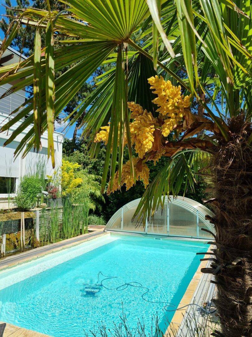 Blauer Swimmingpool mit Abdeckung, umgeben von üppigen Palmen und grüner Vegetation.