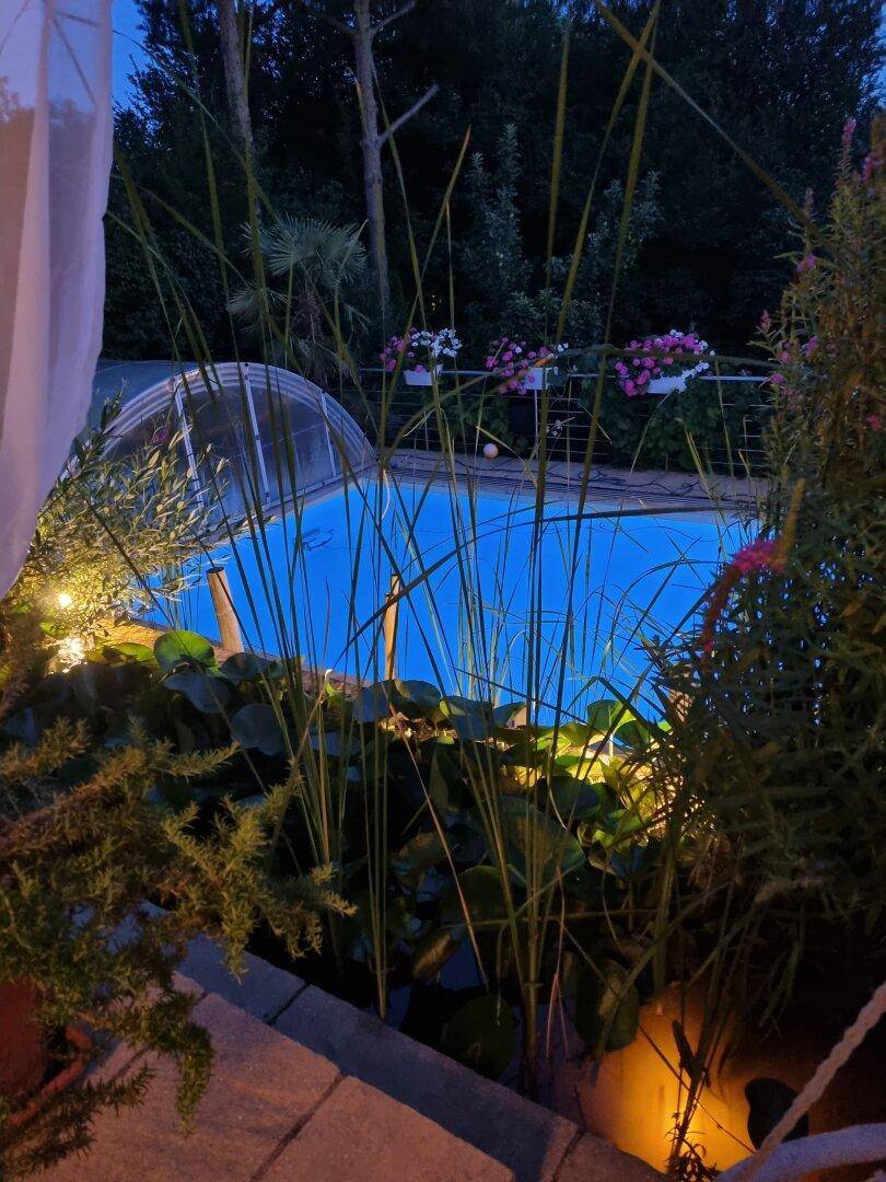 Beleuchteter Poolbereich bei Nacht, umgeben von Pflanzen und stimmungsvoller Gartenbeleuchtung.