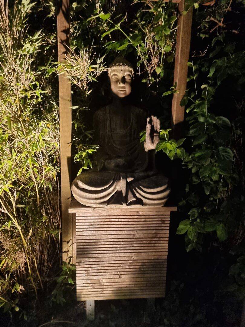 Beleuchtete Buddha-Statue im Garten bei Nacht, umgeben von üppiger Vegetation.