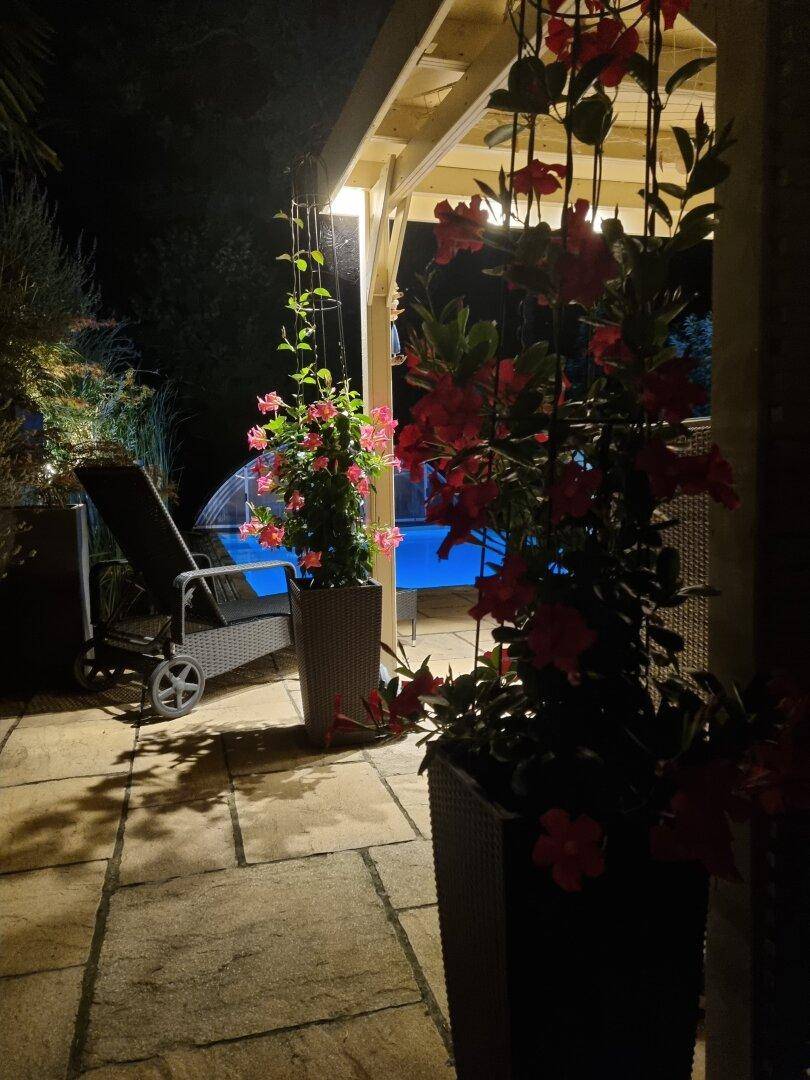 Blühende Topfpflanzen auf der Terrasse mit Blick auf den beleuchteten Pool bei Nacht.