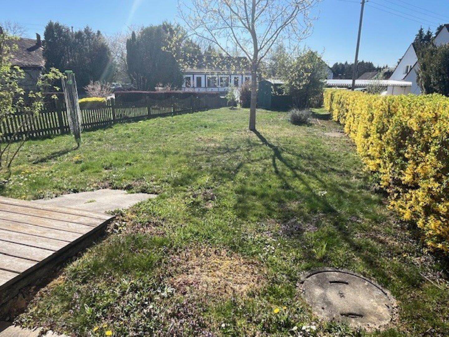 Weitläufiger Garten mit Rasenfläche, einem Baum und einer blühenden Hecke an einem sonnigen Tag.