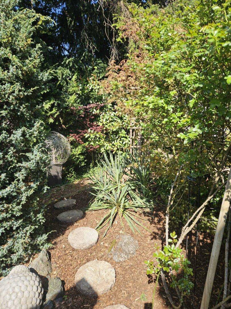 Dichte, üppige Gartenbepflanzung mit verschiedenen Sträuchern und dekorativen Steinen.