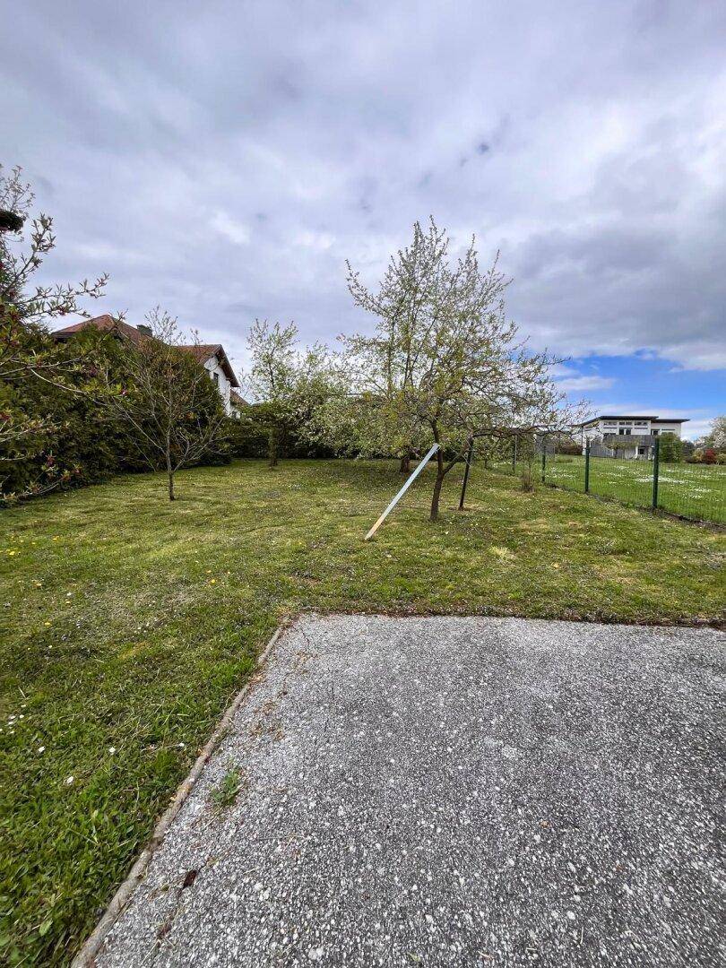 Weitläufiger Garten mit Rasenfläche und jungen Bäumen, umzäunt im Hintergrund.
