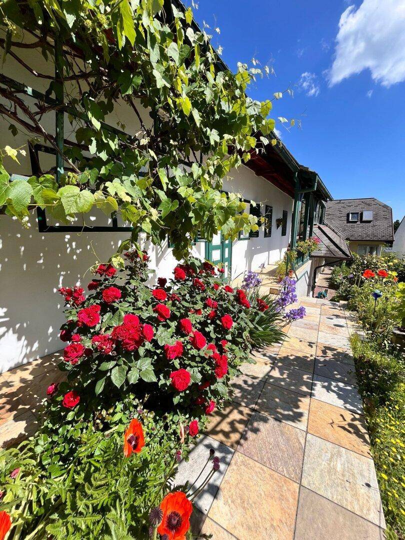 Stilvolles Einfamilienhaus in idyllischer ruhiger Lage in Großpetersdorf - Ansicht 3