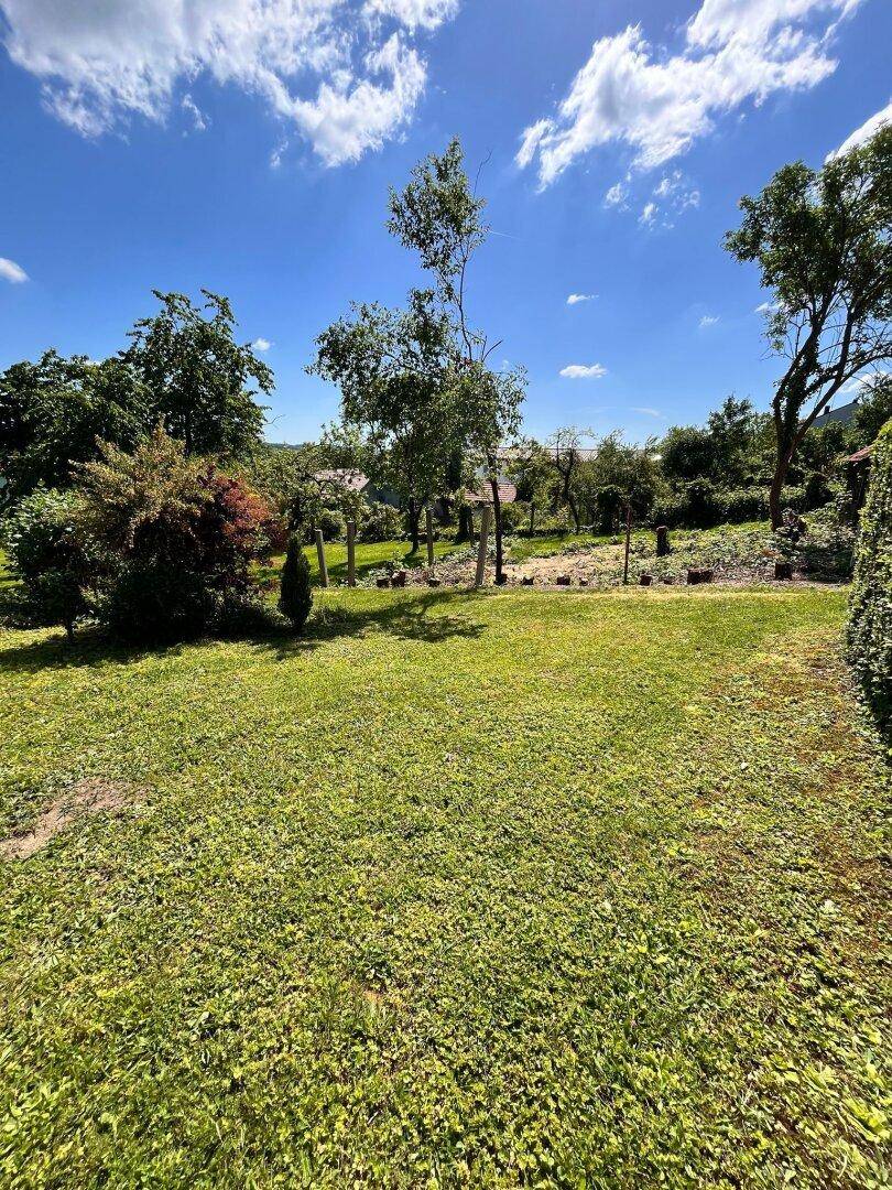 Großer, gepflegter Garten mit weitläufiger Rasenfläche und verschiedenen Bäumen unter blauem Himmel.
